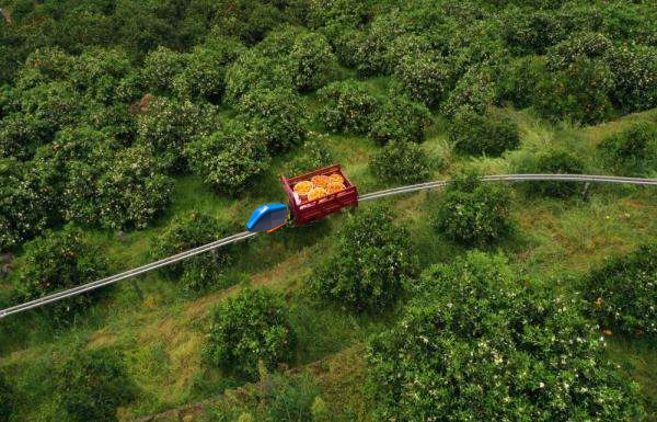 運(yùn)輸系統(tǒng)-果園