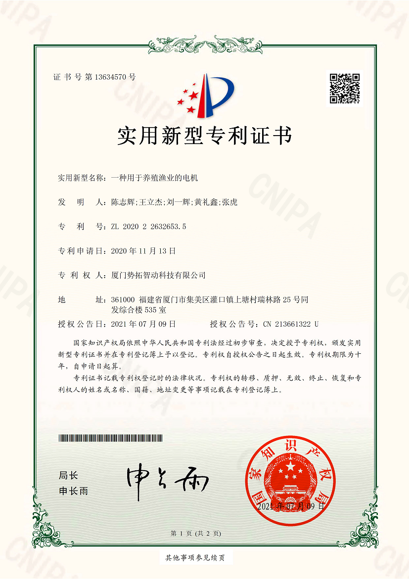 Patent certificate 8